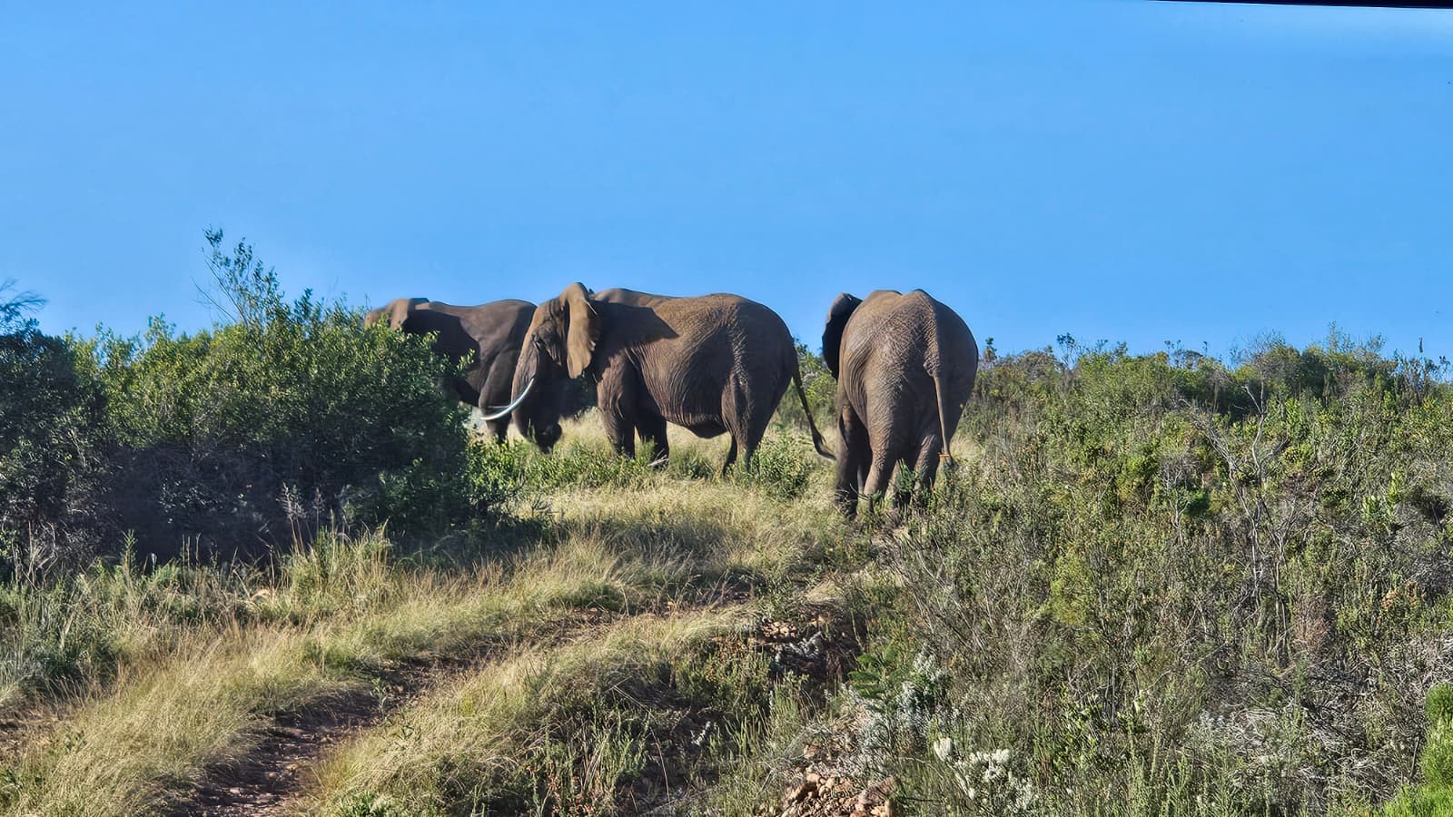 Beyond the city · The wider Cape is close at hand